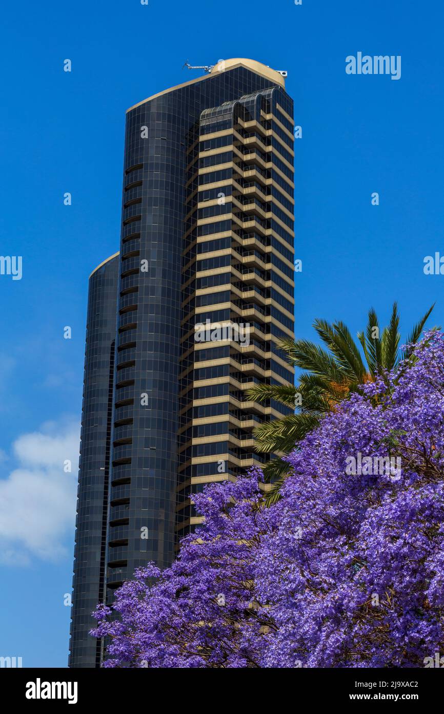 Harbor Club Towers, San Diego, Kalifornien, USA Stockfoto