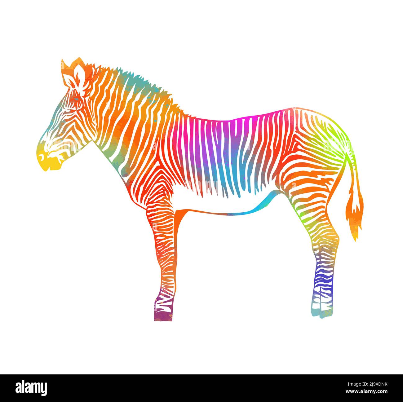 Mehrfarbiger abstrakter Zebra. Vektorgrafik Stock Vektor