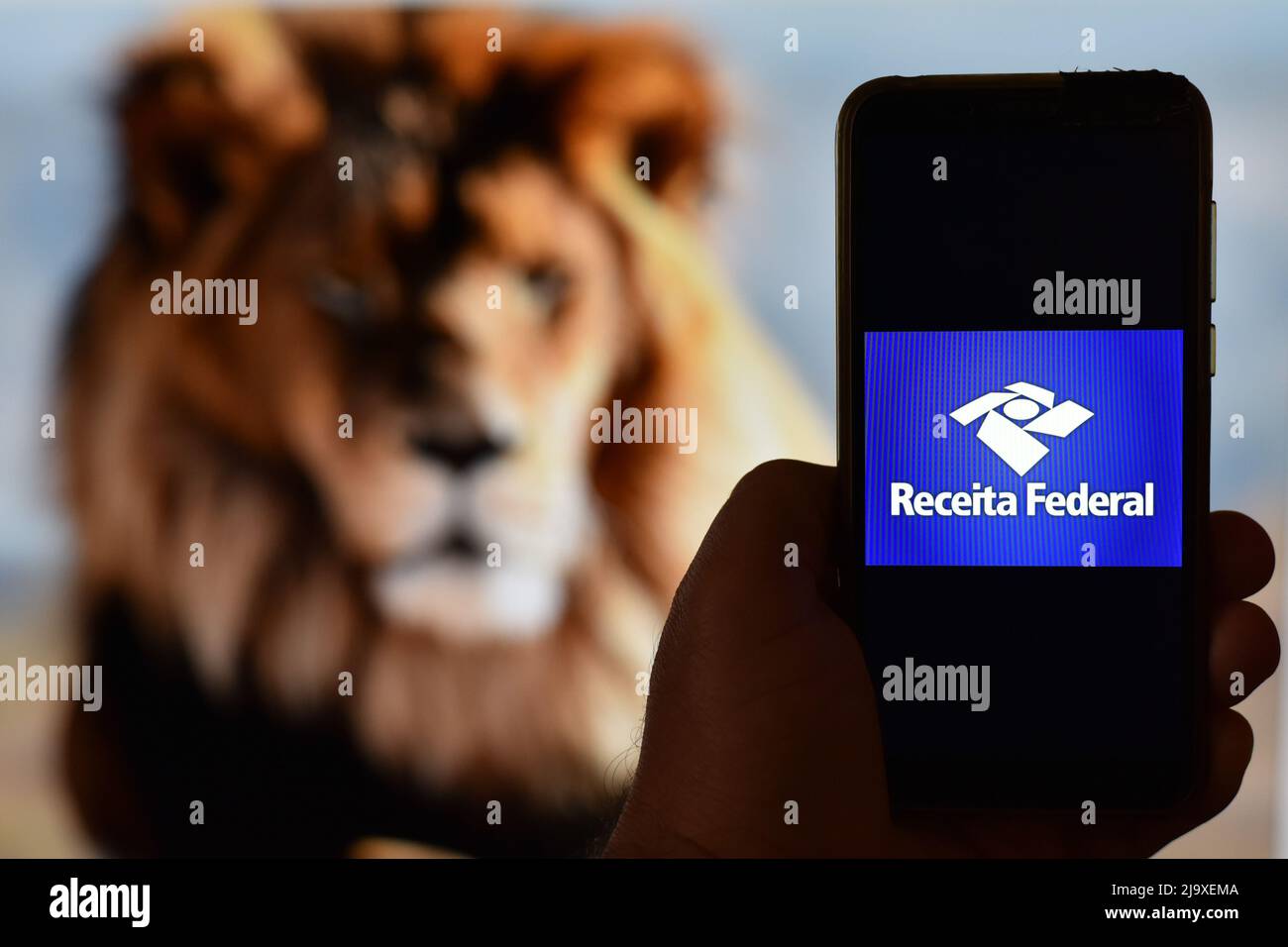 São PAULO, SP - 25.05.2022: IMPOSTO DE RENDA 2022 - die Federal Revenue eröffnet Konsultationen für die erste Charge der Einkommenssteuer 2022 Rückerstattung, für das Basisjahr 2021. Auf dem Foto das Federal Revenue-Logo auf einem Handybildschirm und im Hintergrund ein Löwe, diesen Mittwoch (25) (Foto: Roberto Casimiro/Fotoarena) Stockfoto