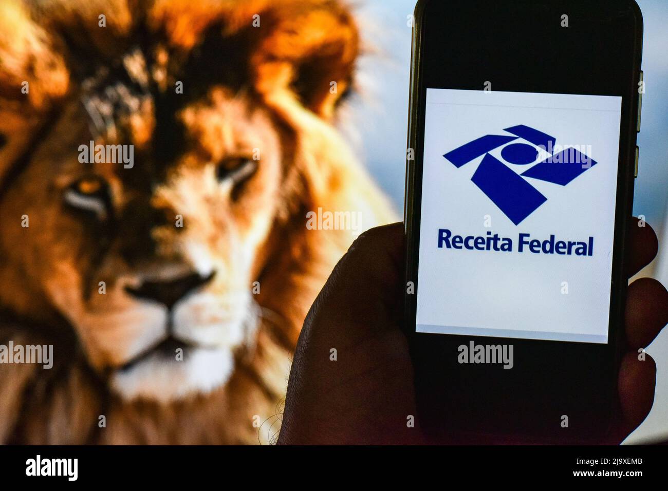 São PAULO, SP - 25.05.2022: IMPOSTO DE RENDA 2022 - die Federal Revenue eröffnet Konsultationen für die erste Charge der Einkommenssteuer 2022 Rückerstattung, für das Basisjahr 2021. Auf dem Foto das Federal Revenue-Logo auf einem Handybildschirm und im Hintergrund ein Löwe, diesen Mittwoch (25) (Foto: Roberto Casimiro/Fotoarena) Stockfoto