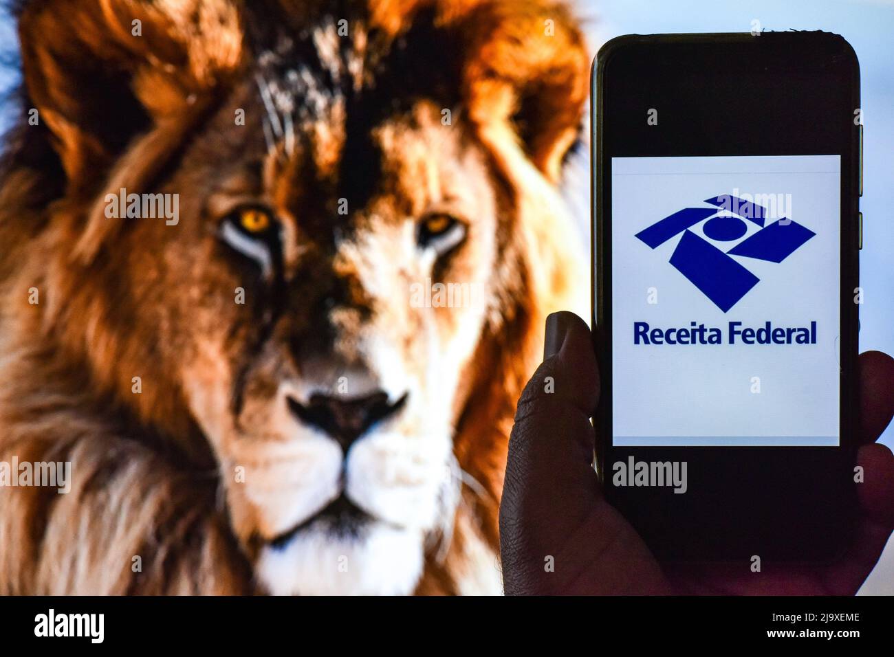São PAULO, SP - 25.05.2022: IMPOSTO DE RENDA 2022 - die Federal Revenue eröffnet Konsultationen für die erste Charge der Einkommenssteuer 2022 Rückerstattung, für das Basisjahr 2021. Auf dem Foto das Federal Revenue-Logo auf einem Handybildschirm und im Hintergrund ein Löwe, diesen Mittwoch (25) (Foto: Roberto Casimiro/Fotoarena) Stockfoto