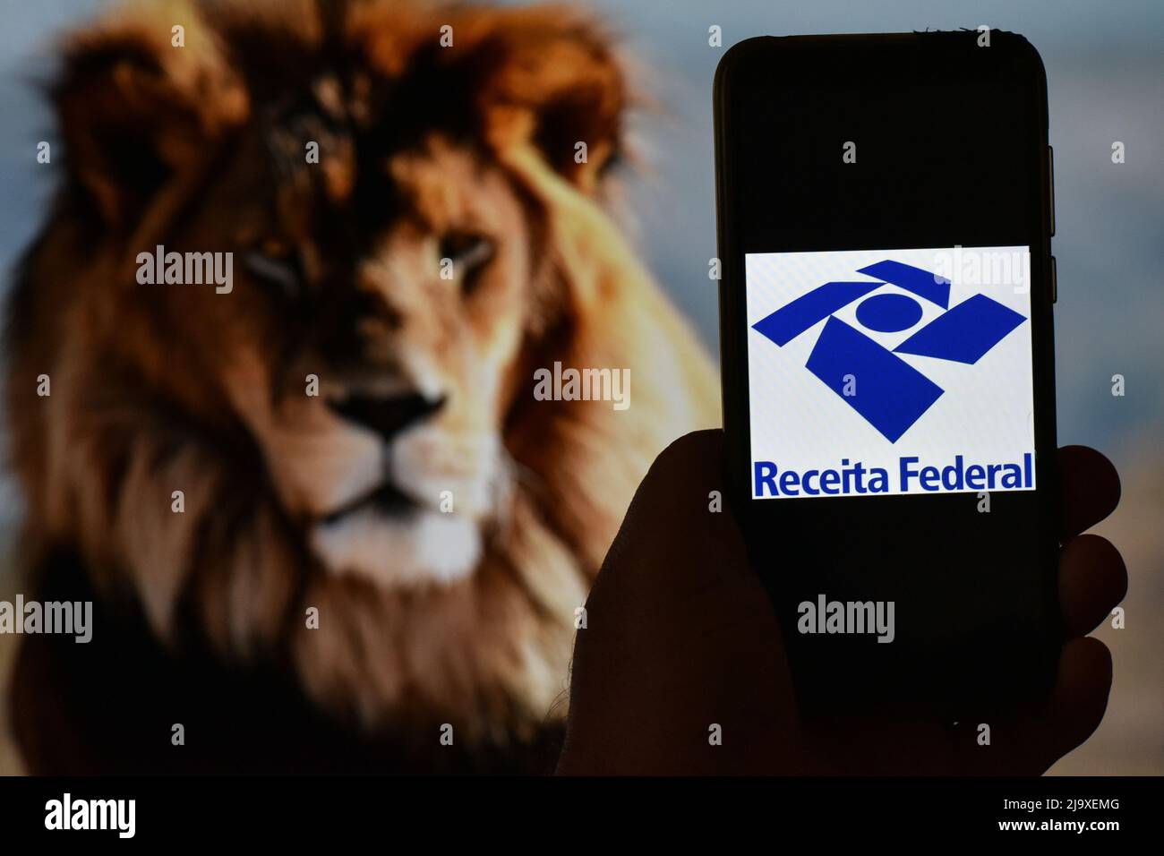 São PAULO, SP - 25.05.2022: IMPOSTO DE RENDA 2022 - die Federal Revenue eröffnet Konsultationen für die erste Charge der Einkommenssteuer 2022 Rückerstattung, für das Basisjahr 2021. Auf dem Foto das Federal Revenue-Logo auf einem Handybildschirm und im Hintergrund ein Löwe, diesen Mittwoch (25) (Foto: Roberto Casimiro/Fotoarena) Stockfoto