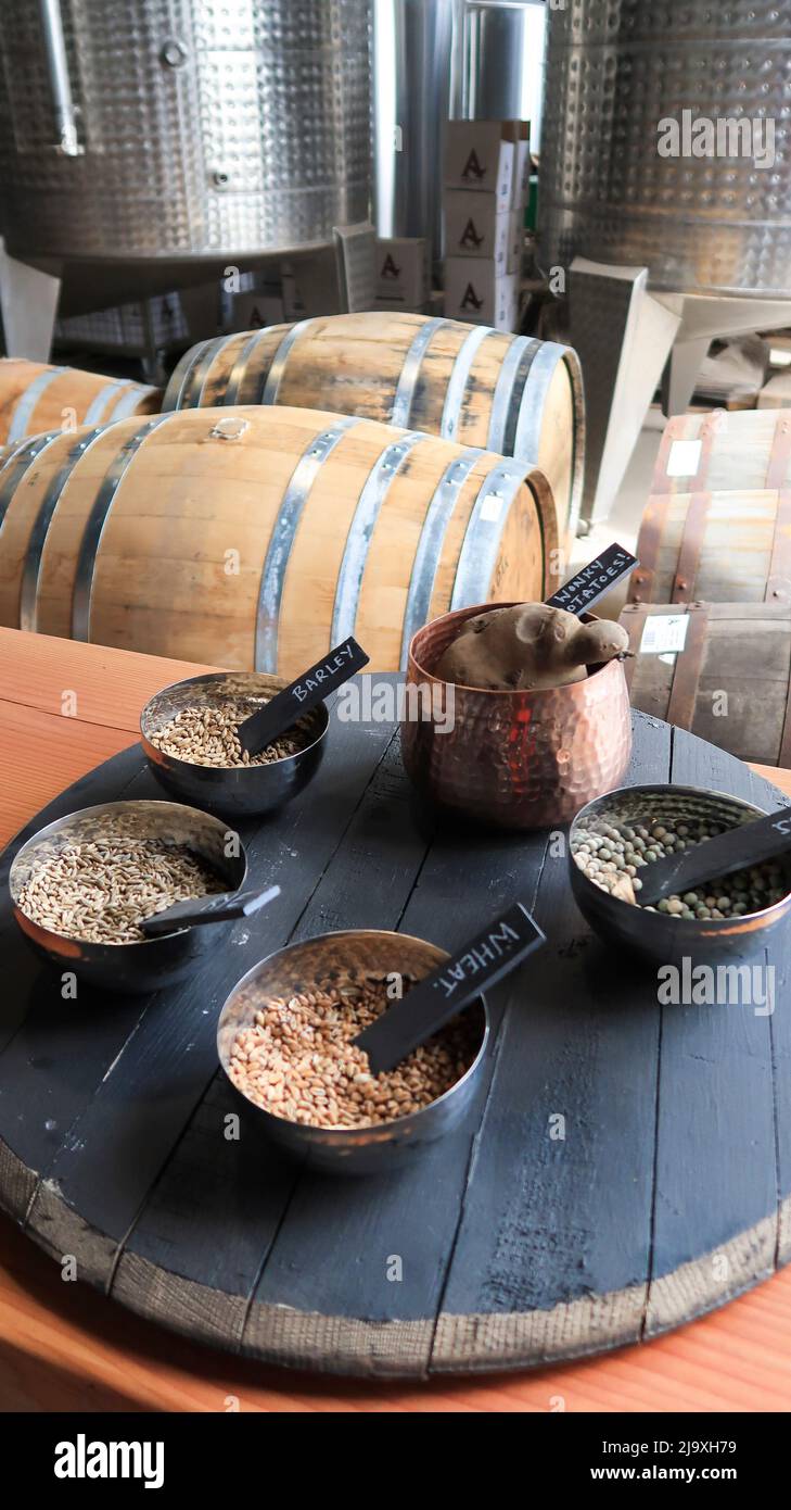 Das neue Besucherzentrum Arbikie Experience wird im Mai 2022 in der Arbikie Distillery in Montrose eröffnet Stockfoto