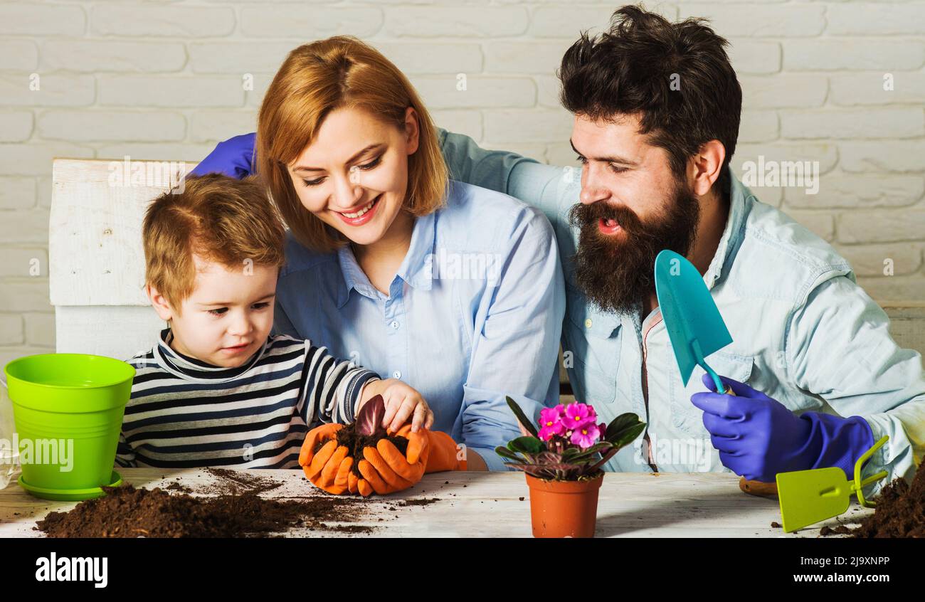 Kleiner Helfer Sohn unterstützt Mutter und Vater beim Pflanzen von Blumen. Familienhaus Gartenarbeit. Pflege der Pflanzen. Stockfoto