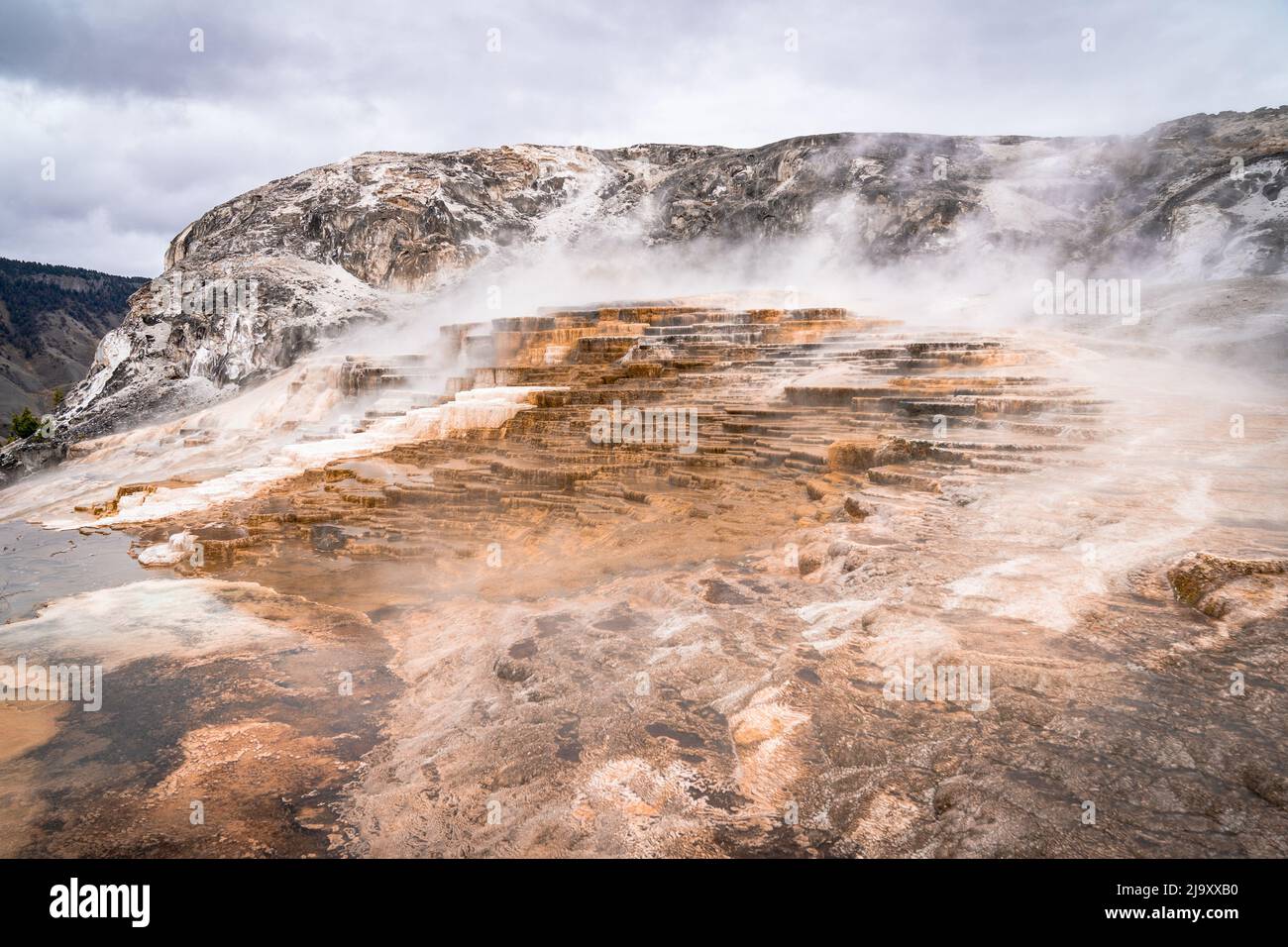 Mammoth Hot Spring im Yellowstone National Park in den Vereinigten Staaten Stockfoto