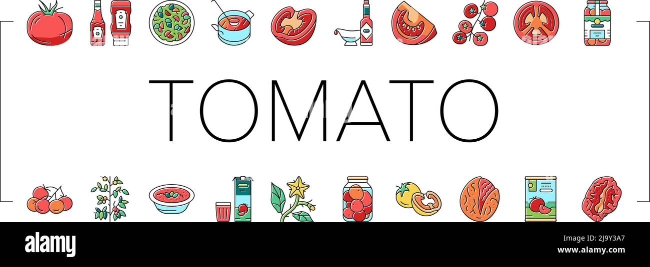 Tomate Natürliches Vitamin Gemüse Symbole Set Vektor Stock Vektor