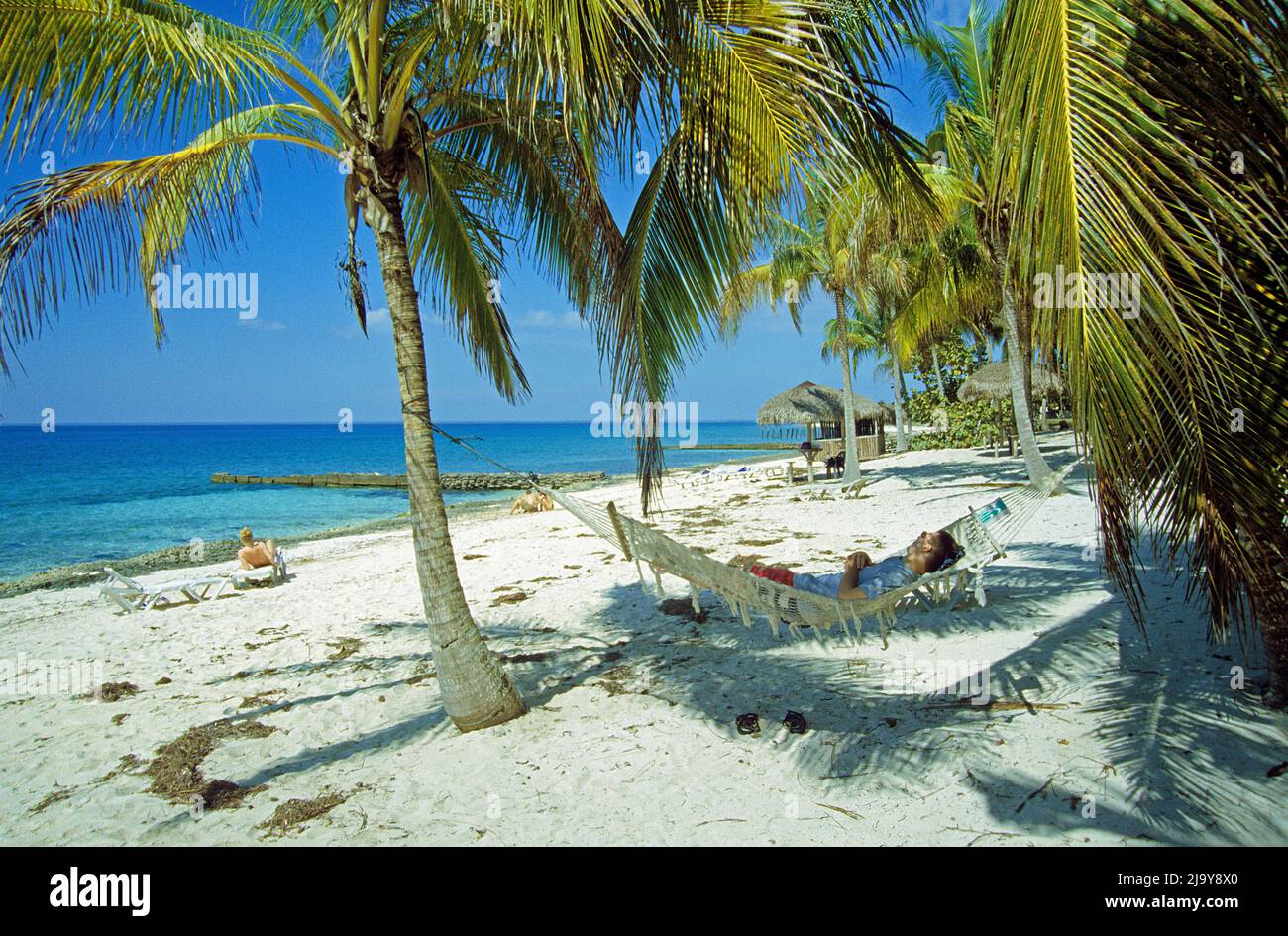 Der Tourist träumt in einer Hängematte am Strand von Maria la Gorda, Pinar del Rio, Kuba, Karibik Stockfoto