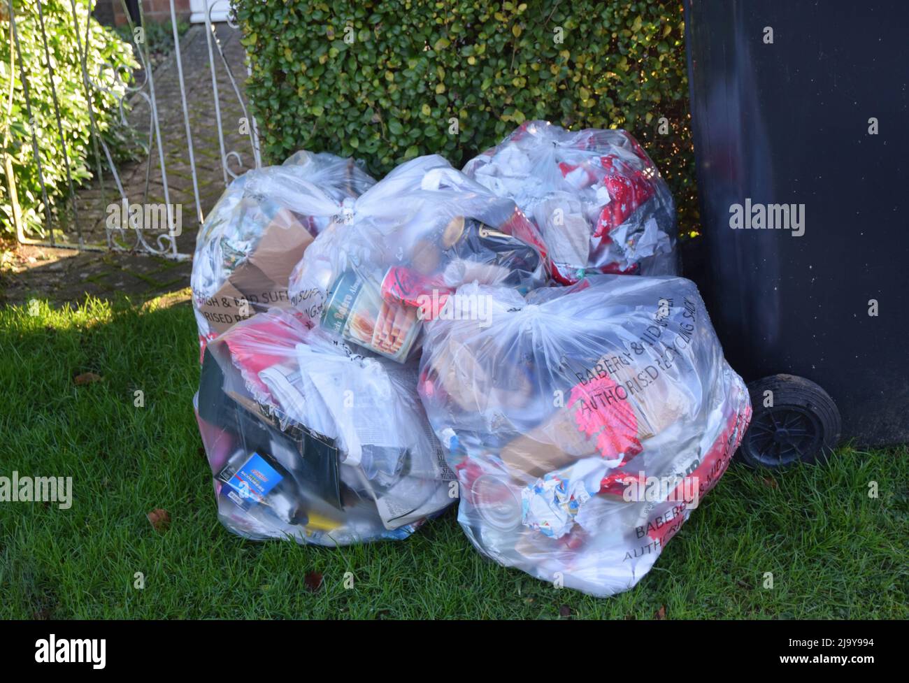 Plastikmüllbeutel für die nachweihnachtszeit, die zur Abholung bereit sind Stockfoto