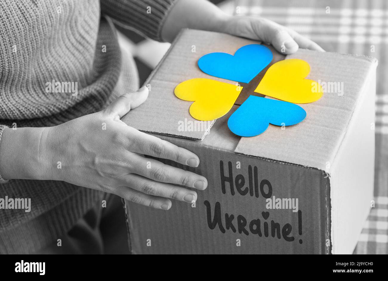 Volunteer hält einen Kasten mit Hilfe für die Menschen in den Ucrainien Stockfoto