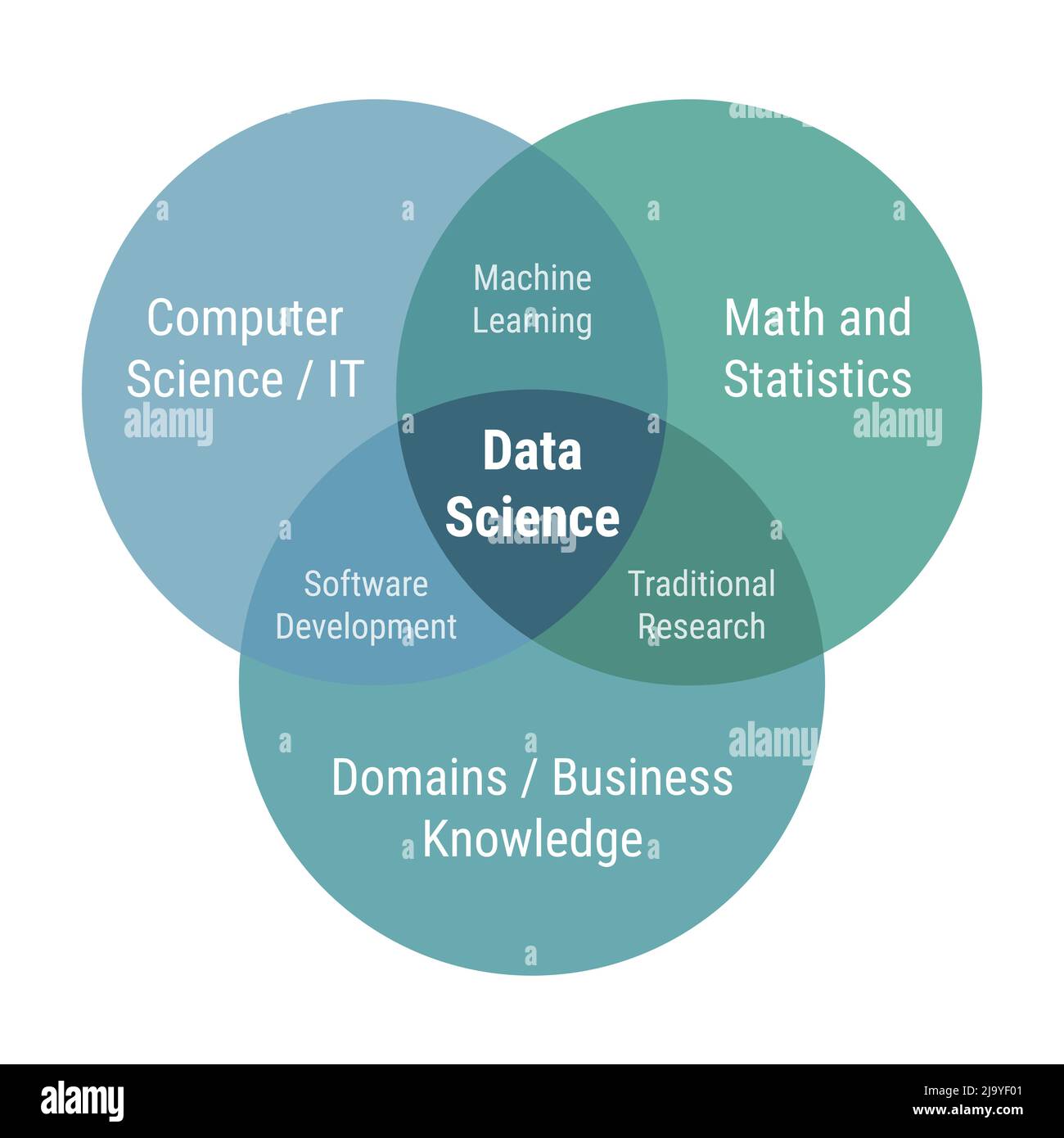 Data Science venn-Diagramm 3 überlappende Kreise. Informatik, IT, Mathematik und Statistik, Domäne und Wirtschaft. Flaches Design grün und blau Farbe vect Stock Vektor