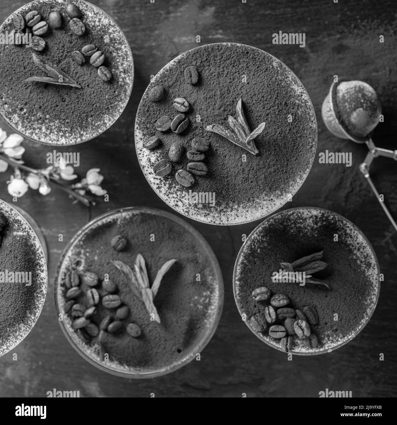 Traditionelles italienisches Dessert-Tiramisu, dekoriert mit Kakaopulver, Kaffeebohnen und Minze auf dem Tisch, Nahaufnahme, Draufsicht, schwarz-weiß. Sortiment von t Stockfoto