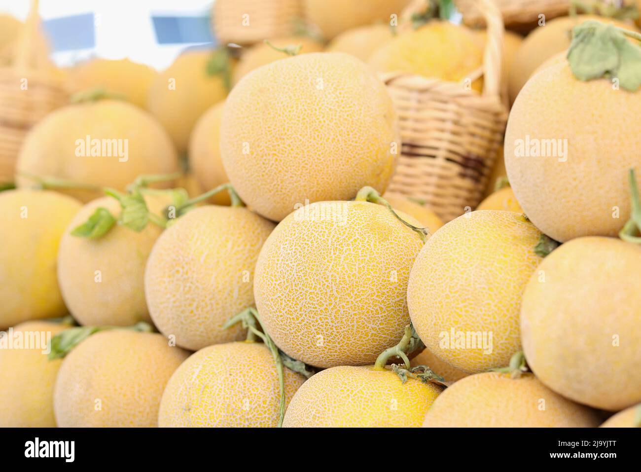 Frische reife Honig saftige Melone in der Nähe des Marktes Stockfoto