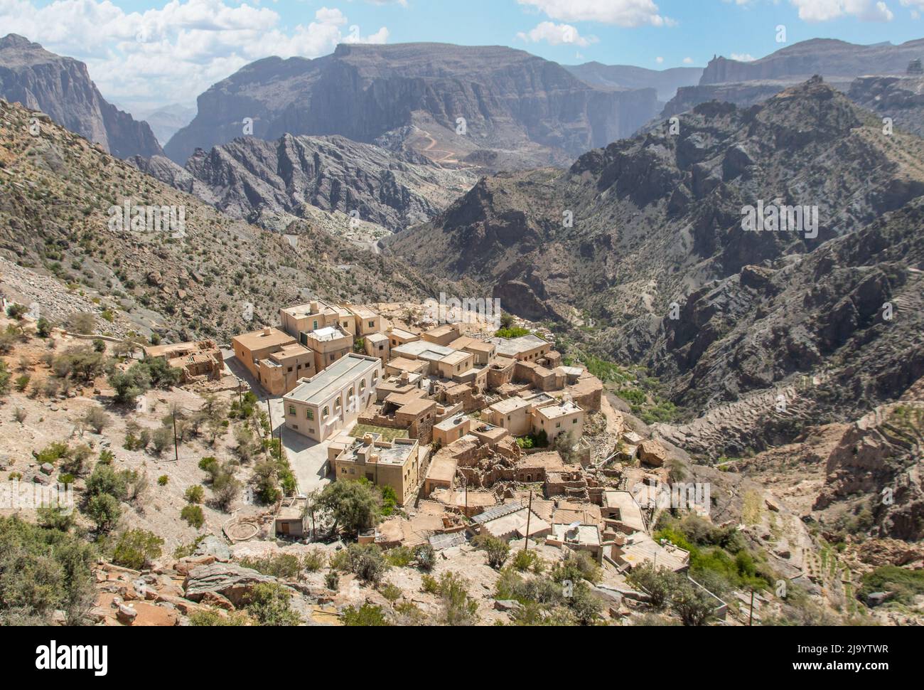 Soqollangan mushuk videosini korsatdi