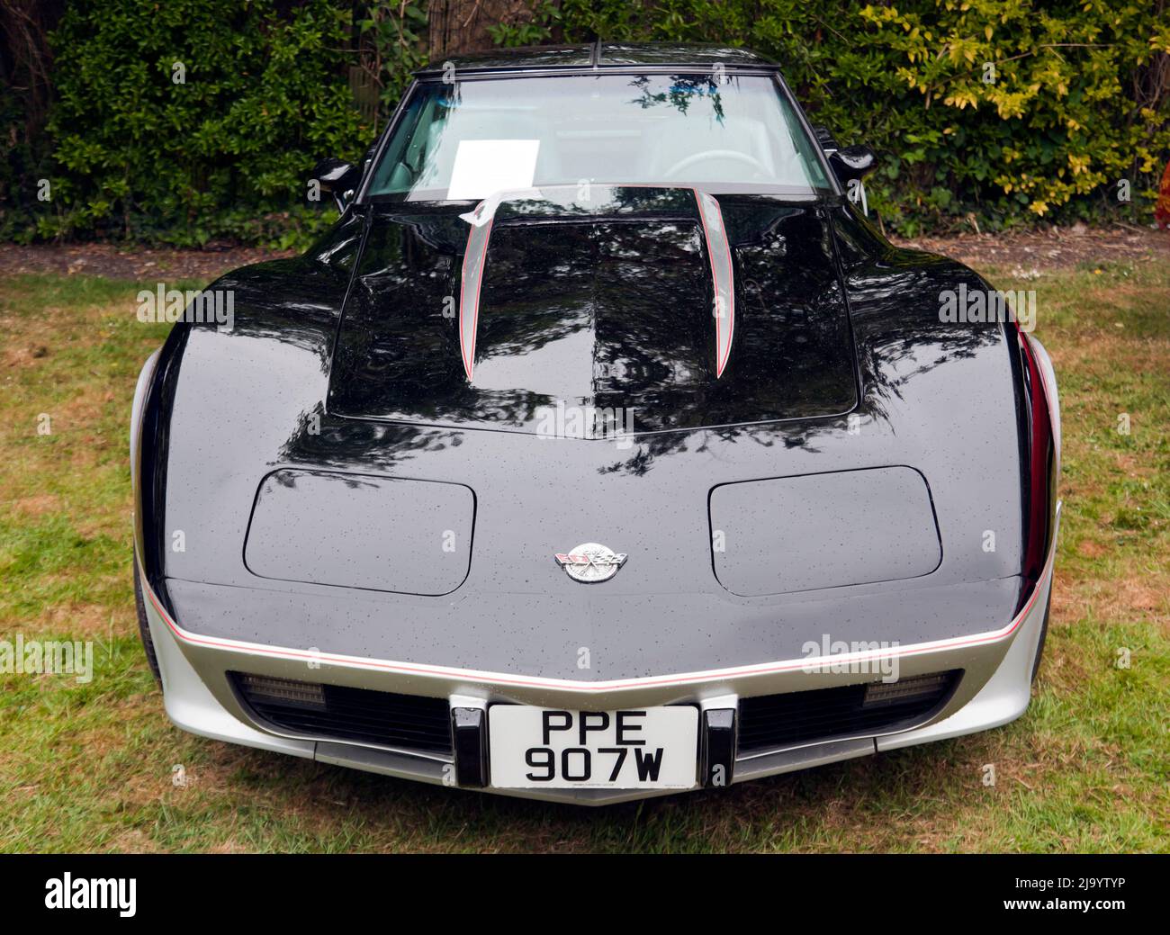 Vorderansicht eines 1978, Special Edition, Schwarz, Chevrolet Corvette, ausgestellt auf der Wickhambreaux Classic Car Show, 2022 Stockfoto