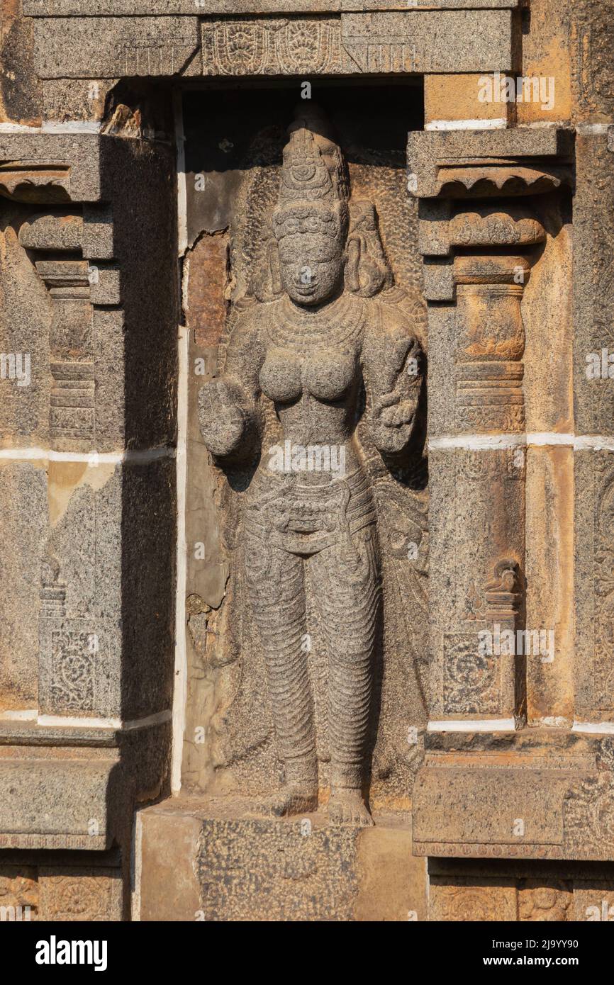 Geschnitztes Idol mit Segenshänden auf Gopuram des Nataraja-Tempels, Chidambaram, Tamil Nadu, Indien Stockfoto