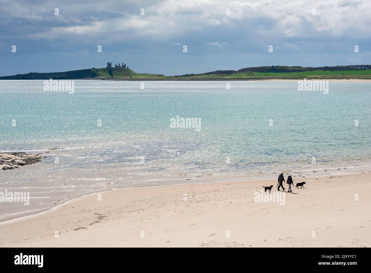 Rentnerpaar, Blick auf ein Rentnerpaar, das mit seinen Hunden an einem malerischen Strand an der Küste von Northumberland, England, Großbritannien, spazieren geht Stockfoto