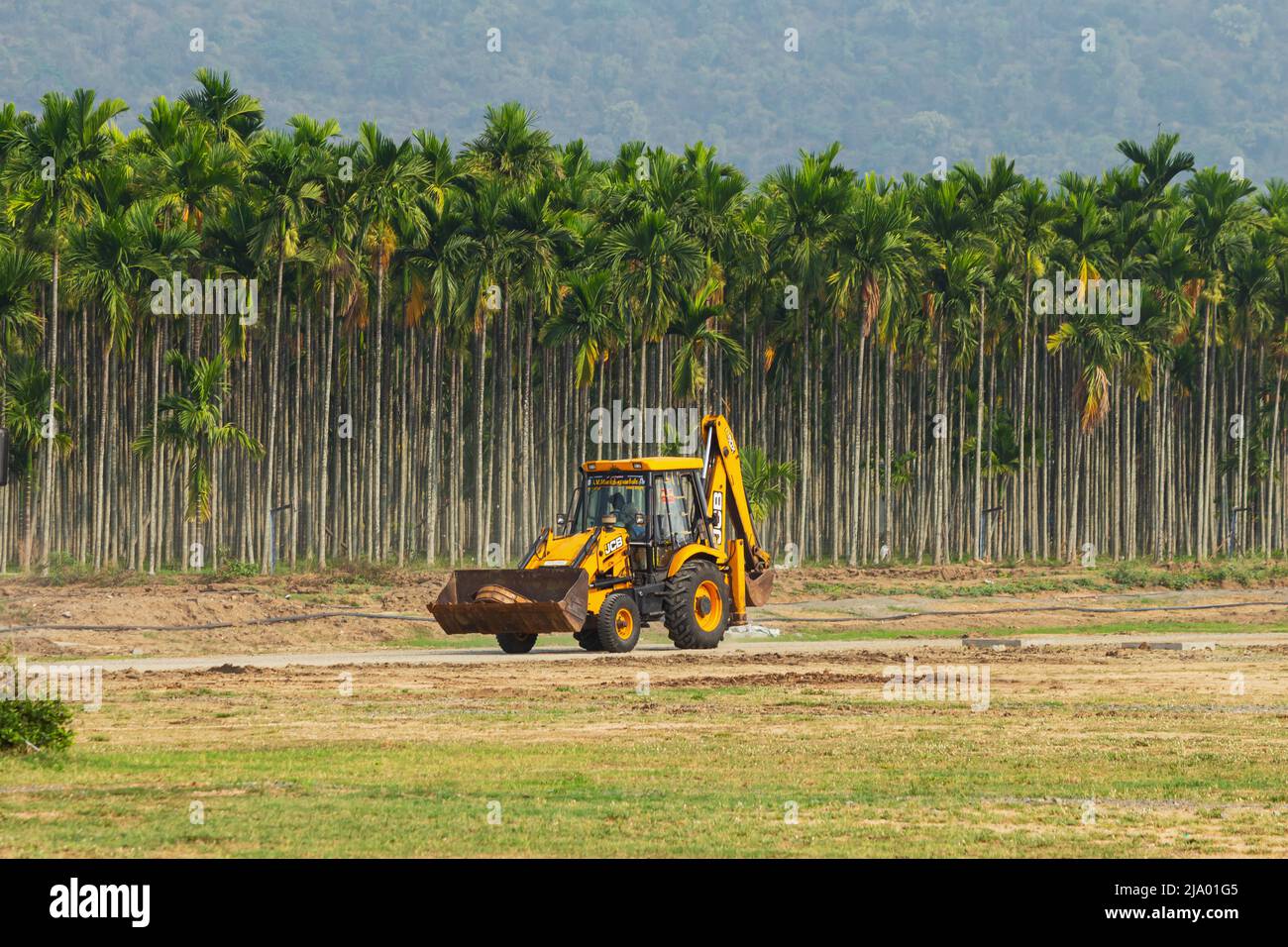 JCB und Blick auf Reihen von Betelnussbäumen, in der Nähe der Adiyogi Shiva Statue, Booluvampatti, Coimbatore, Tamilnadu, Indien Stockfoto