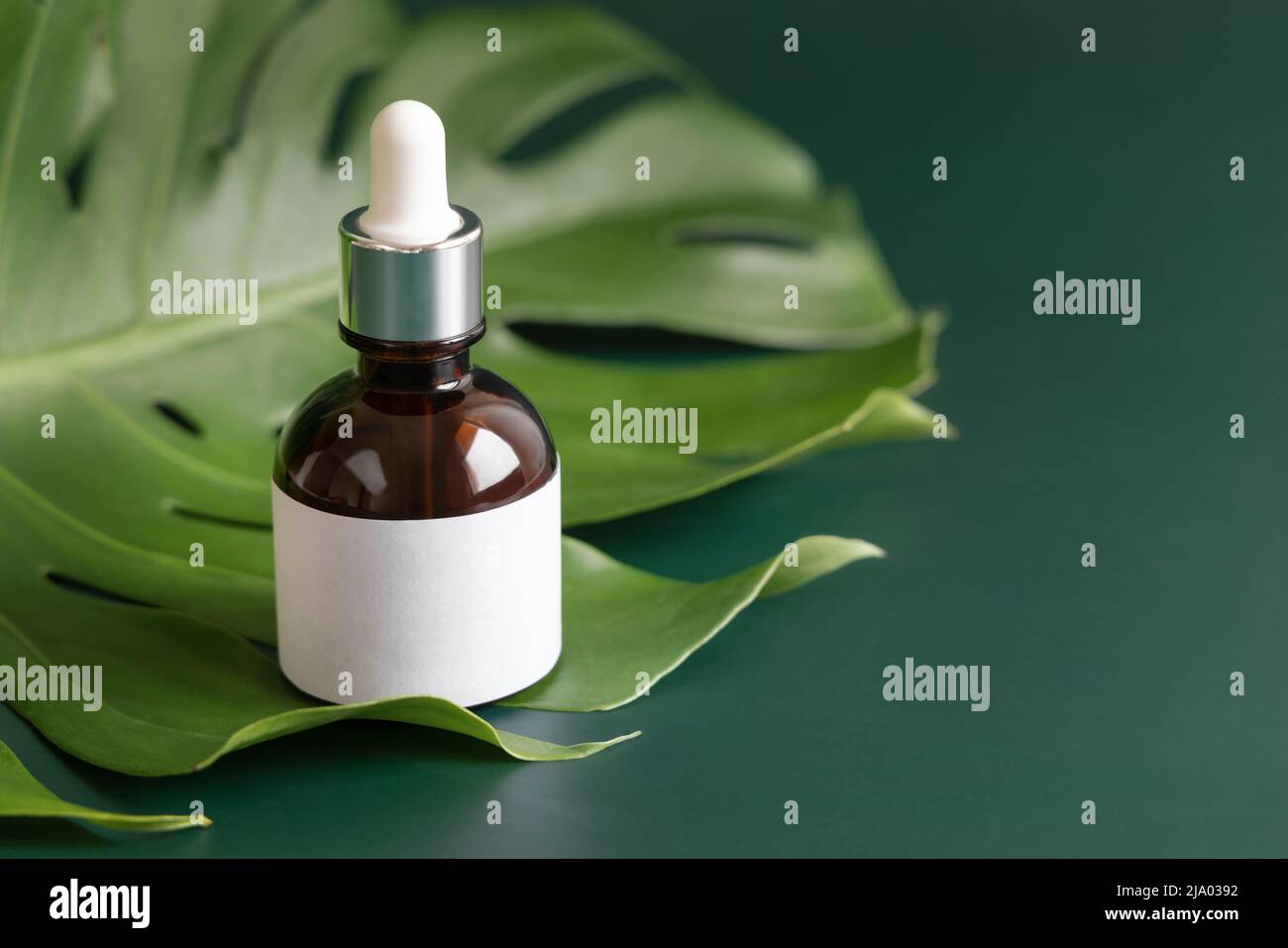 Tropfflasche auf tropischem Monstera-Blatt auf grünem Tisch aus nächster Nähe. Modell der Markenverpackung. Aromatisches Öl, Hautpflegeprodukt, Creme oder Serum. Natur Stockfoto