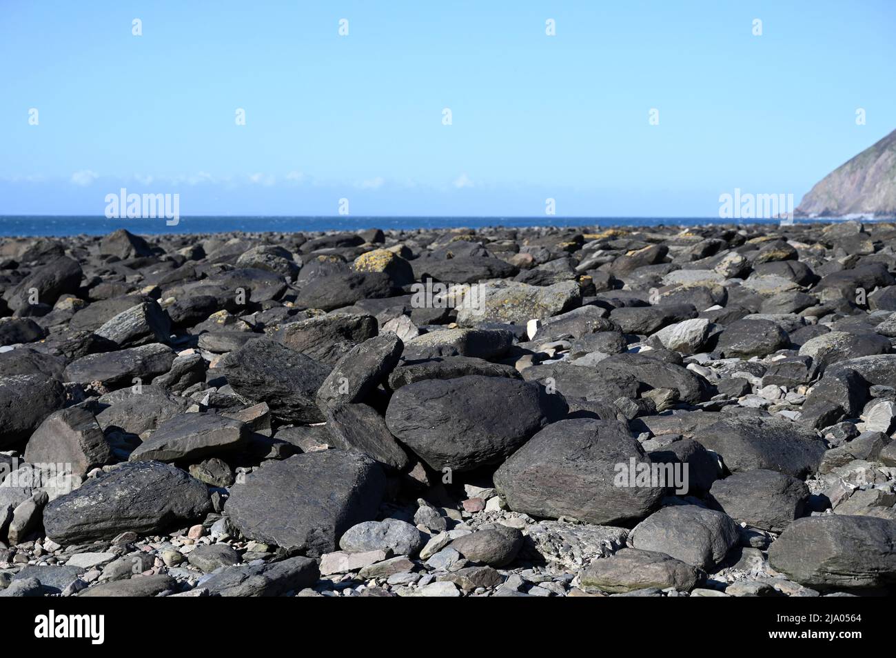 Felsen, Steine am Strand von Devon an einem sonnigen Tag Stockfoto