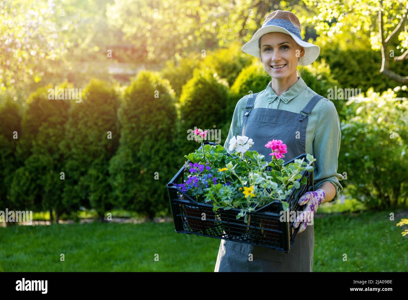 Lächelnde weibliche Gärtnerin hält Kiste mit bunten Zierblumen. Gartenarbeit. Copy space Stockfoto