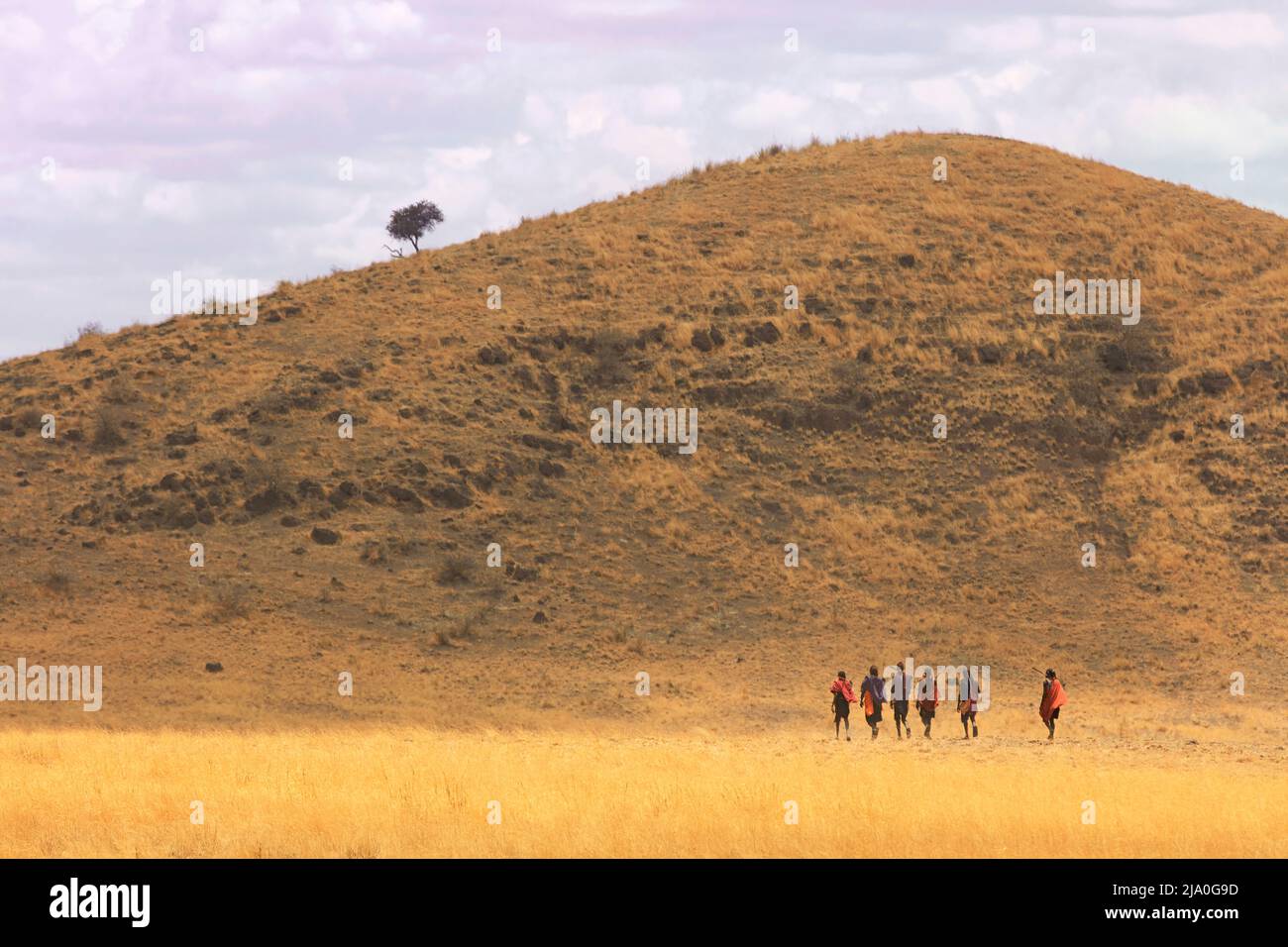 Eine Gruppe von Maasai-Jägern, Arusha-Region, Tansania, Afrika. Stockfoto