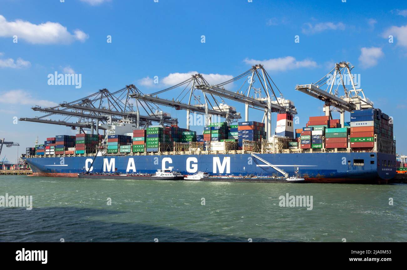 CMA CGM Containerschiff, das im ECT Shipping Terminal im Hafen von Rotterdam mit Portalkranen beladen wird. Niederlande - 16. März 2016 Stockfoto
