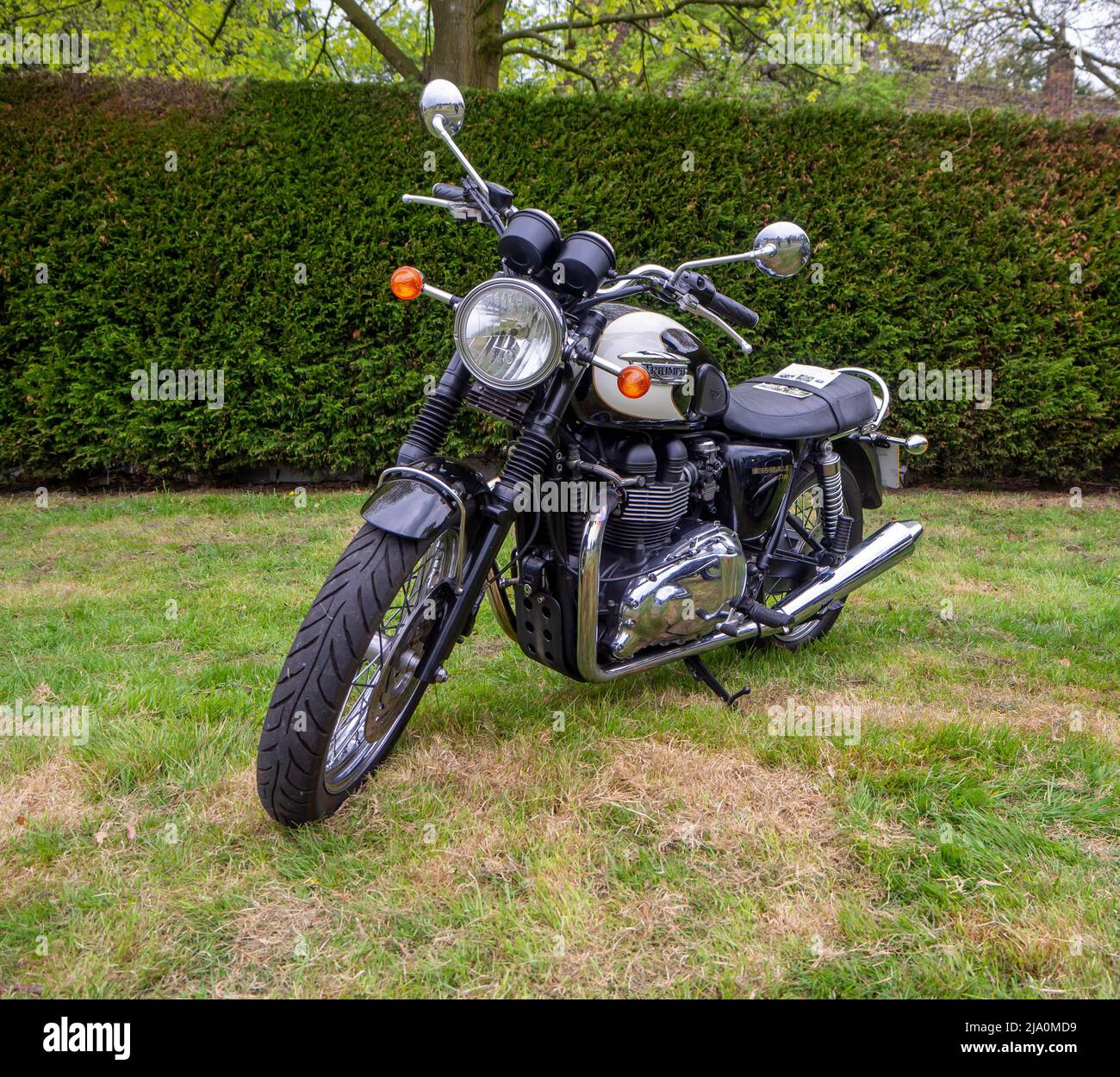 Klassisches Triumph Motorrad in den Gärten der Gawsworth Hall Stockfoto