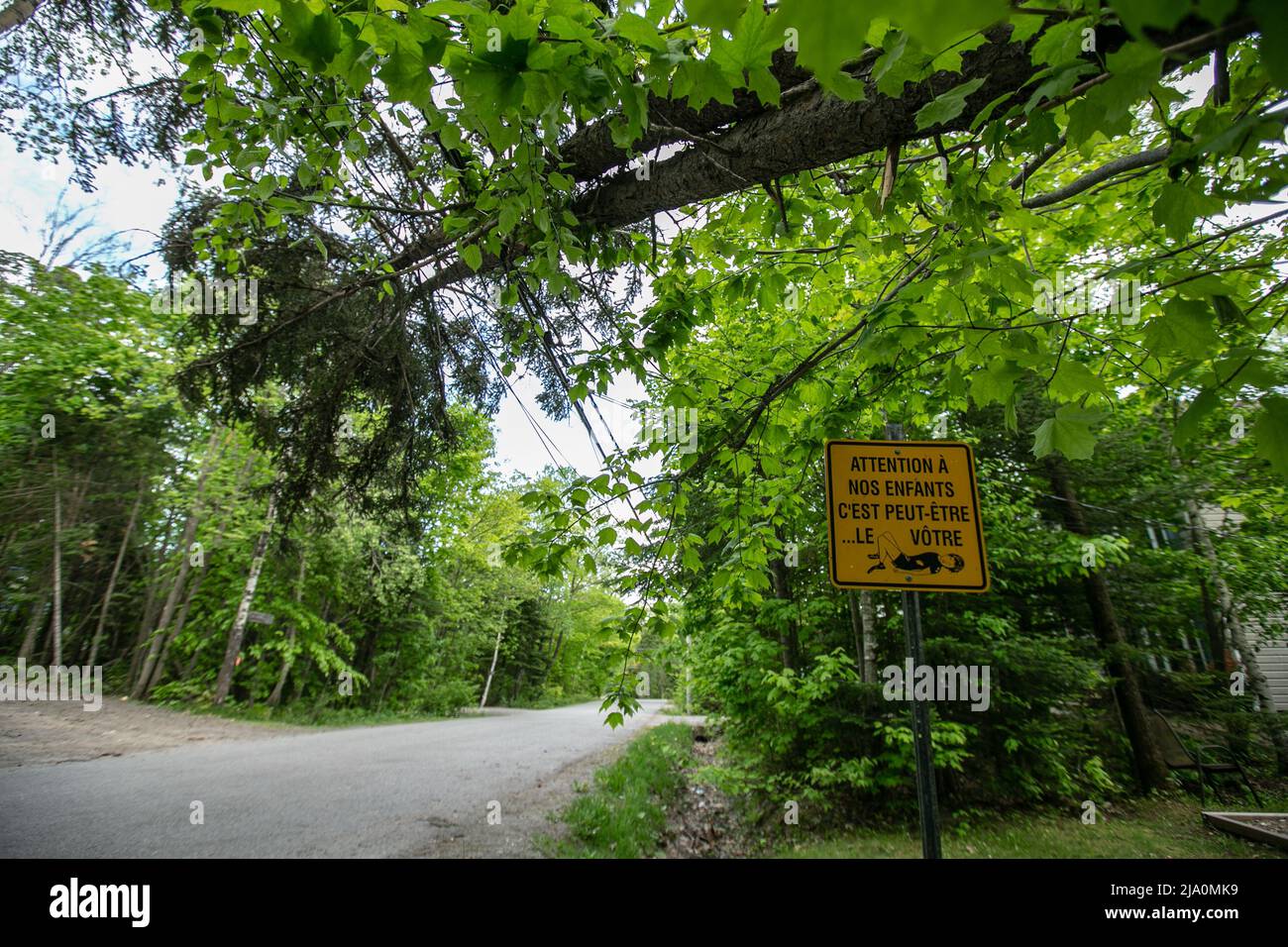 Zerstörung nach dem Sturm zurückgelassen. Stockfoto