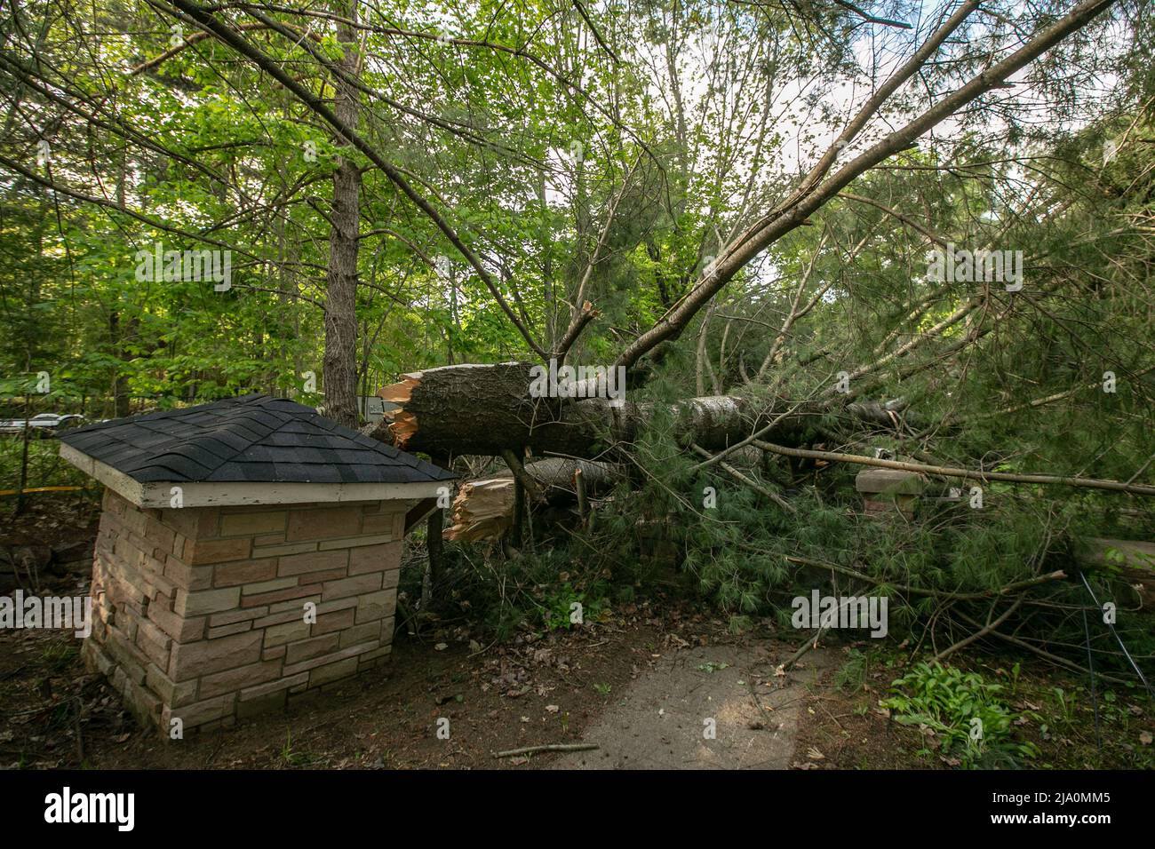 Zerstörung nach dem Sturm zurückgelassen. Stockfoto