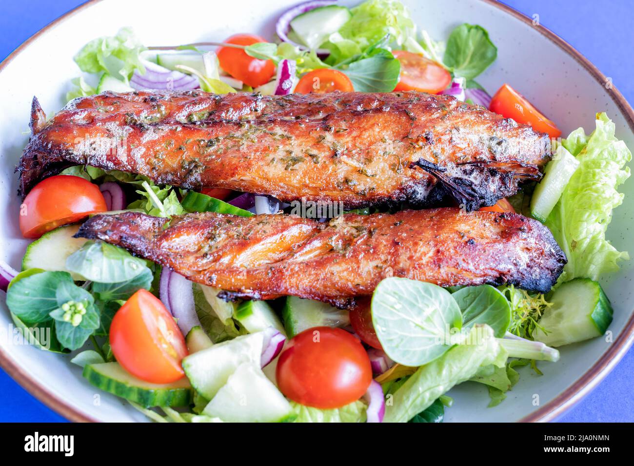Zwei frisch gekochte geräucherte Makrelenfischfilets mit einem frischen Salat. Der fetthaltige Fisch ist eine gute gesunde Mahlzeit Option, die reich an Omega-3-Fettsäuren ist Stockfoto