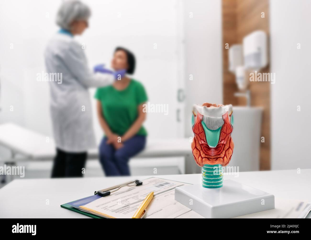 Arztpalpate des Frauenhalses zur Diagnostik von Schilddrüsenerkrankungen. Schilddrüsenuntersuchung und -Behandlung Stockfoto