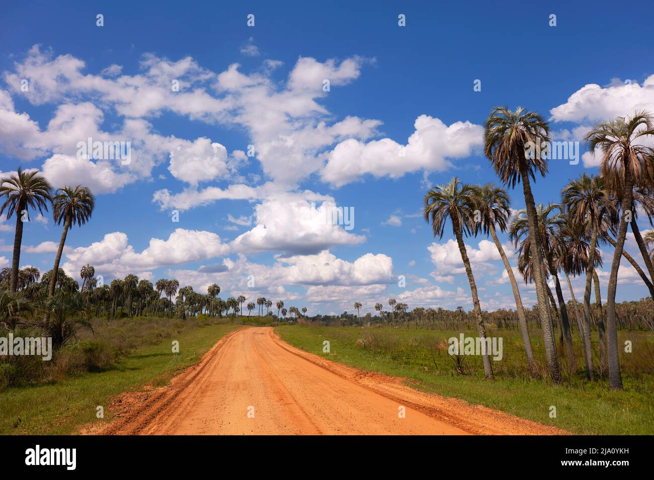 Die Landschaft im Nationalpark El Palmar, Concordia, Entre Rios, Argentinien. Stockfoto