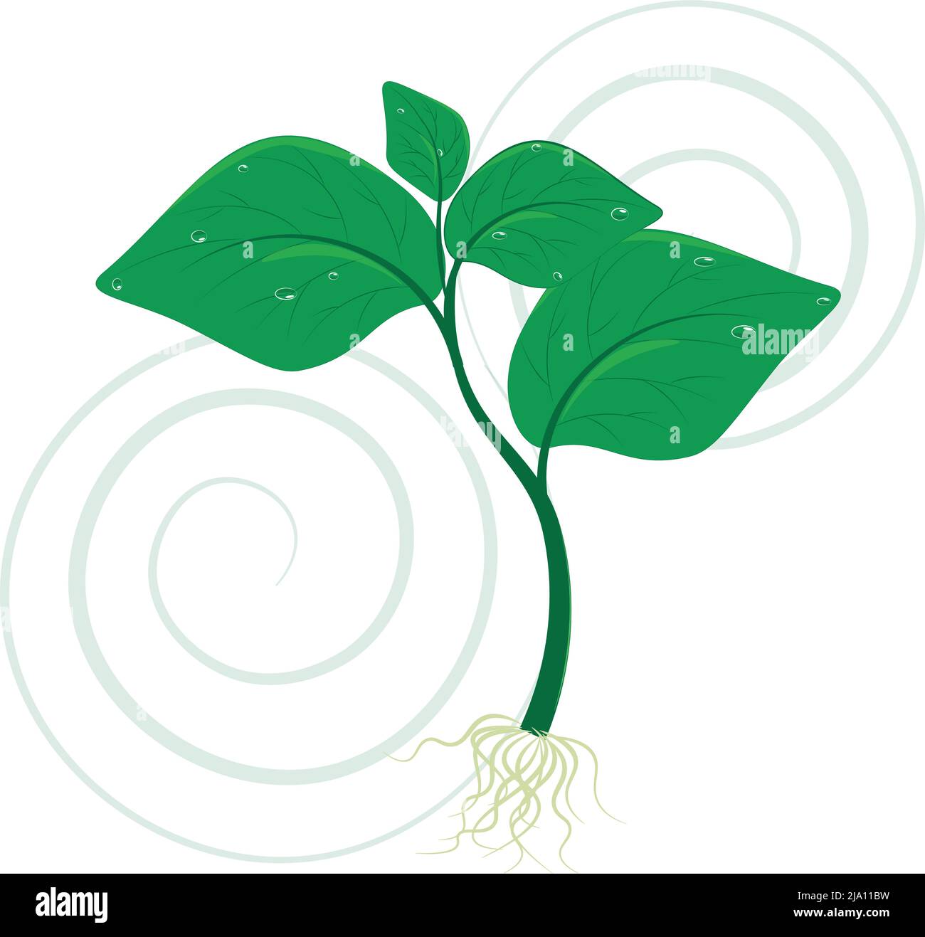Illustration eines jungen Sprossen. Ein junger Spross, ein Symbol des Neubeginns des Lebens. Grüner Sproß bringt in die Natur schöne Bäume, Blumen, Oxy Stock Vektor