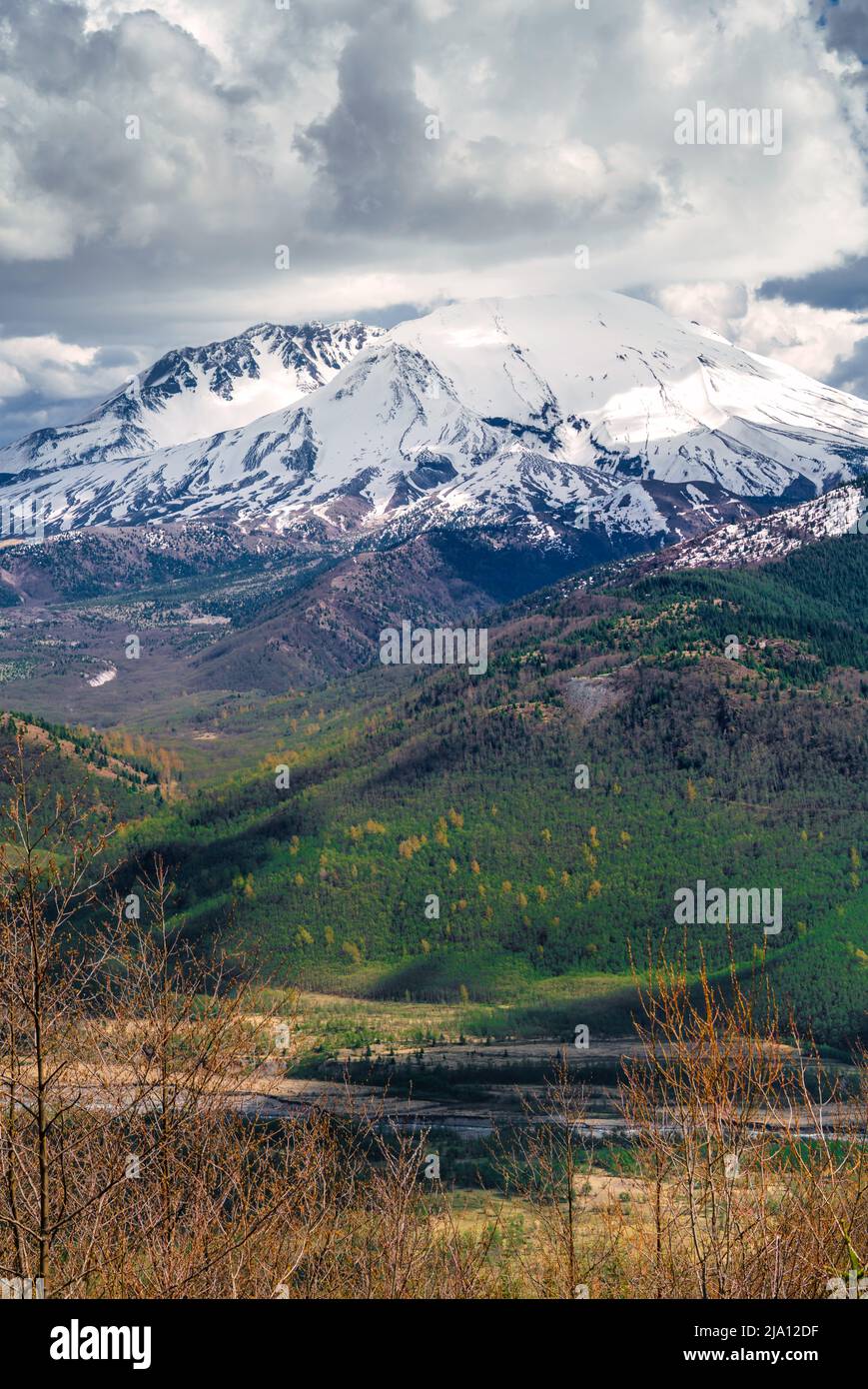 Mount Saint Helens Stockfoto