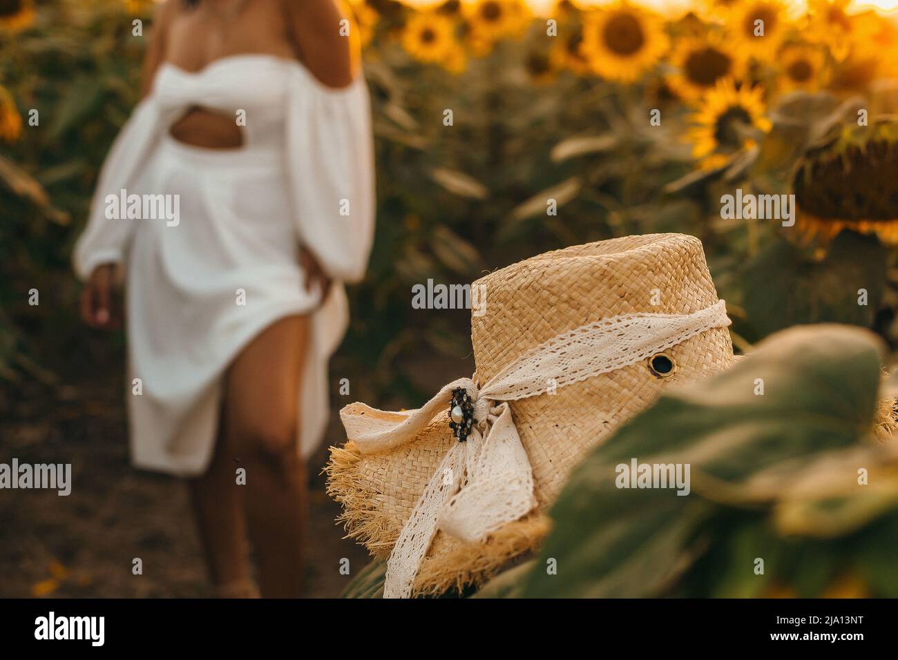 Schöne junge Frau in einem weißen Kleid in Sonnenblumen bei Sonnenuntergang Stockfoto