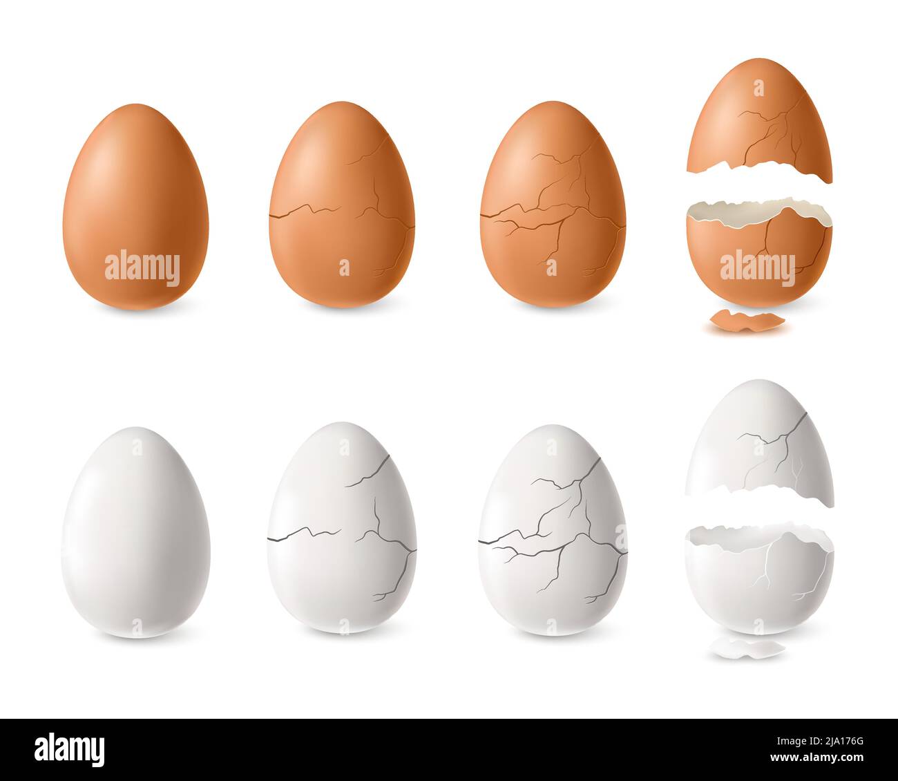 Realistische weiß und braun geknackt und offene Ei Set isoliert Vektor-Illustration Stock Vektor