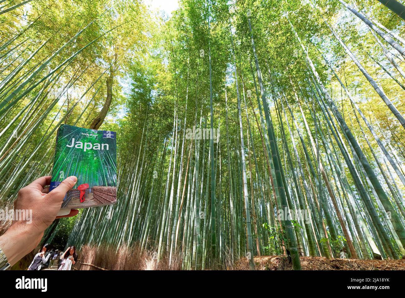 Japan. Kyoto. Arashiyama Bamboo Grove. Die Frontabdeckung des Lonely Planet Guide Stockfoto