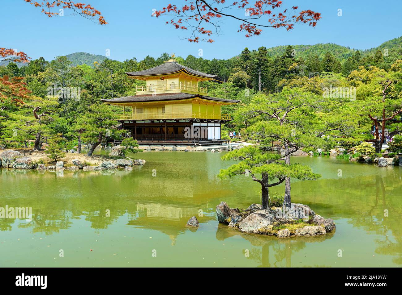 Japan. Kyoto. Kinkaku-ji-Tempel (der Goldene Pavillon) Stockfoto