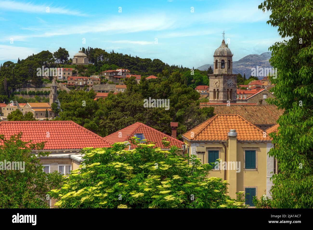 Cavtat, Dalmatien, Kroatien, Europa Stockfoto Cavtat, Dalmatien, Kroatien, Europa Stockfoto