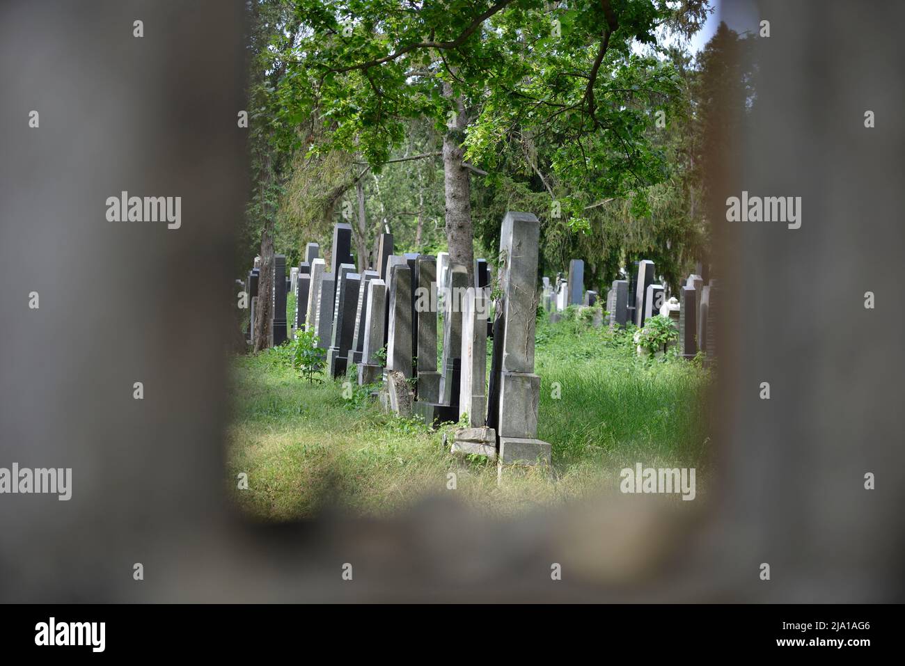 Wien, Österreich. Wiener Zentralfriedhof. Blick auf den jüdischen Friedhof Stockfoto
