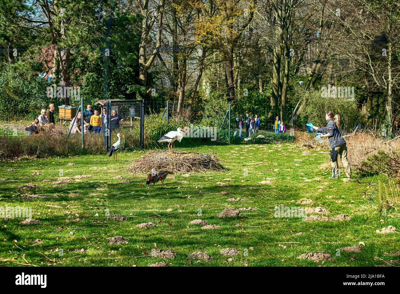 Zoo Dortmund, Nordrhein-Westfalen, Deutschland Stockfoto