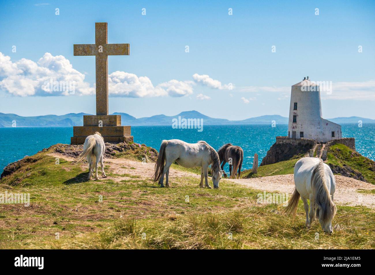 Llanddwyn Island in der Nähe von Newborough auf Anglesey, Wales Stockfoto