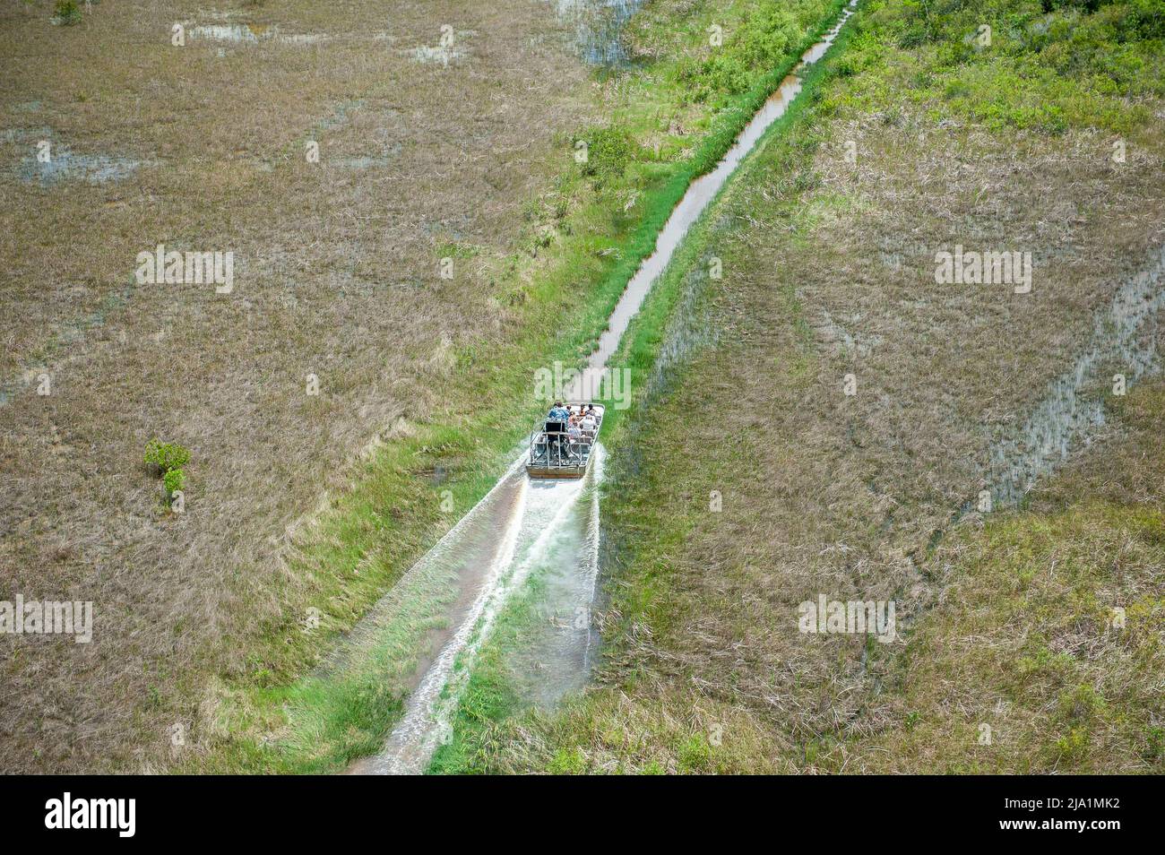 Stock-Bilder von Everglades National Park, Florida - Airboats fliegen über den Everglades National Park. Everglades Airboat Tours Glide und Guide throug Stockfoto