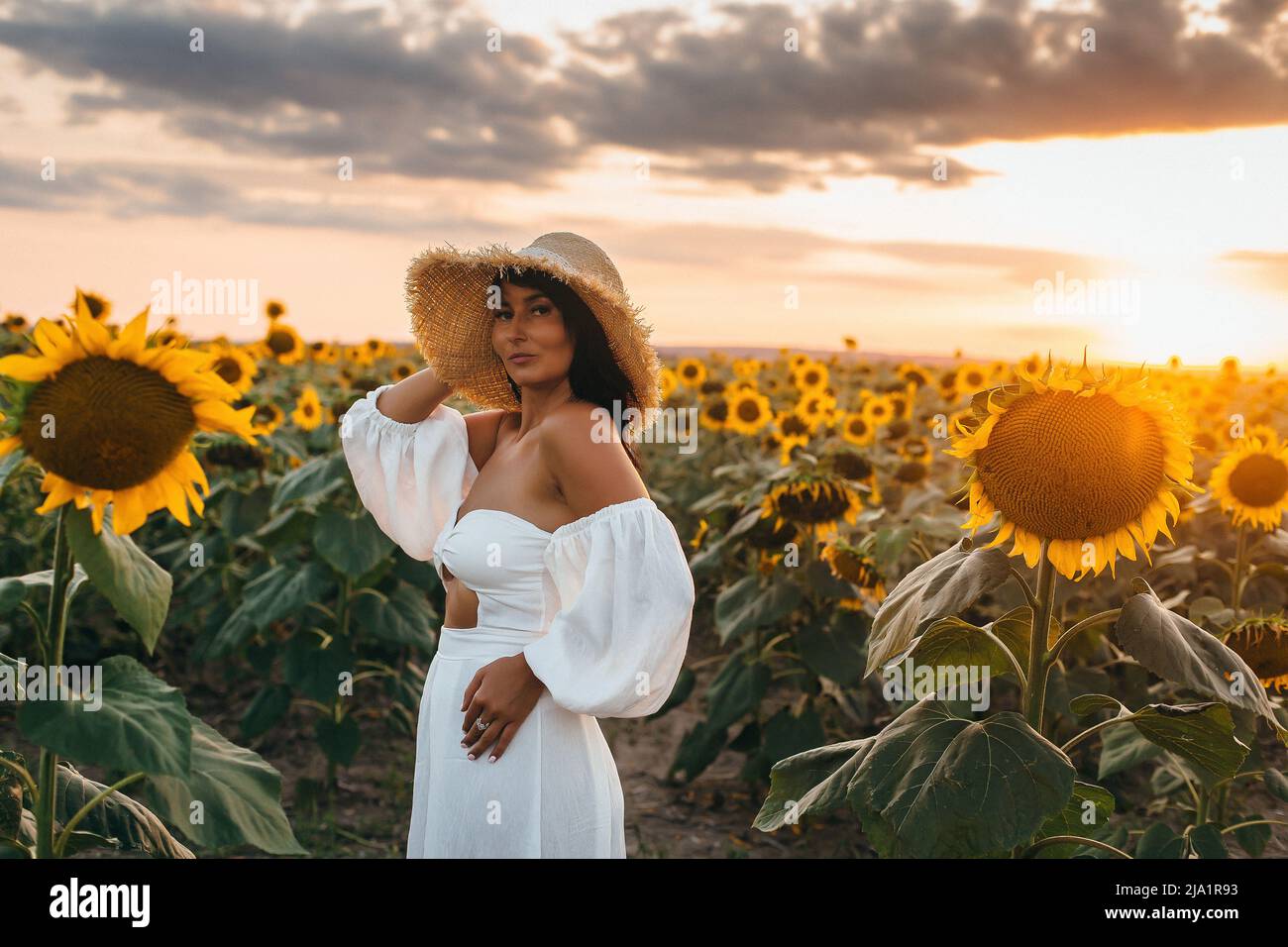 Schöne junge Frau in einem weißen Kleid in Sonnenblumen bei Sonnenuntergang Stockfoto