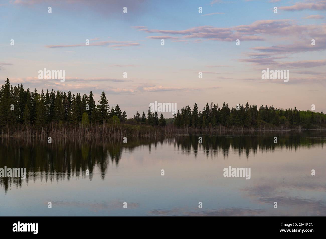 Sonnenuntergang über einem Boreal Forest Lake, Elk Island National Park, Alberta, Kanada Stockfoto