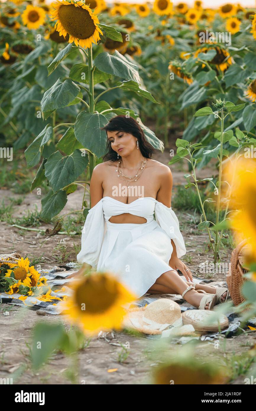 Schöne junge Frau in einem weißen Kleid in Sonnenblumen bei Sonnenuntergang Stockfoto