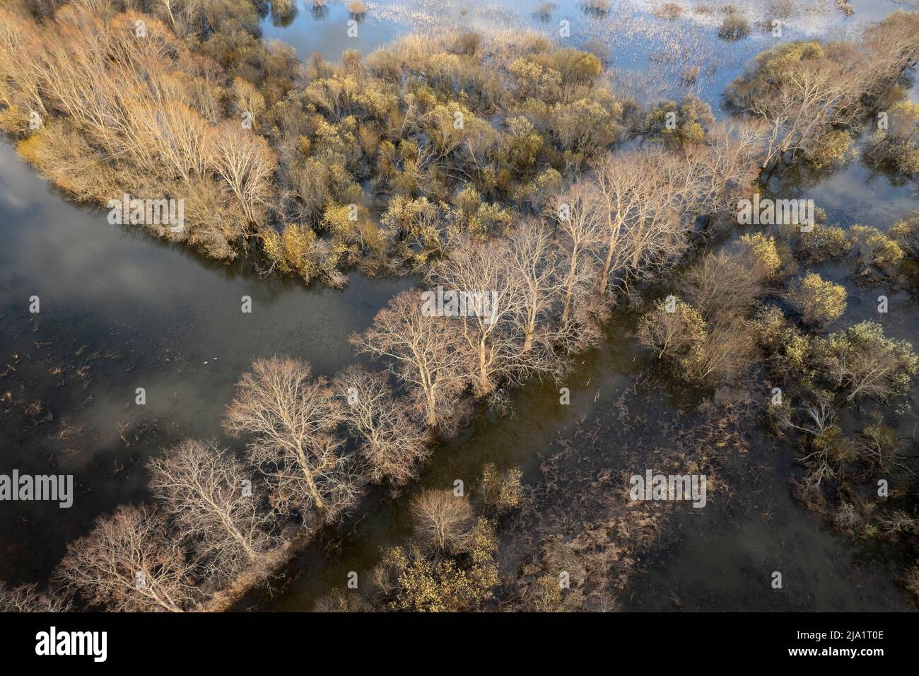 Überfluteter Wald von oben in Finnland Stockfoto