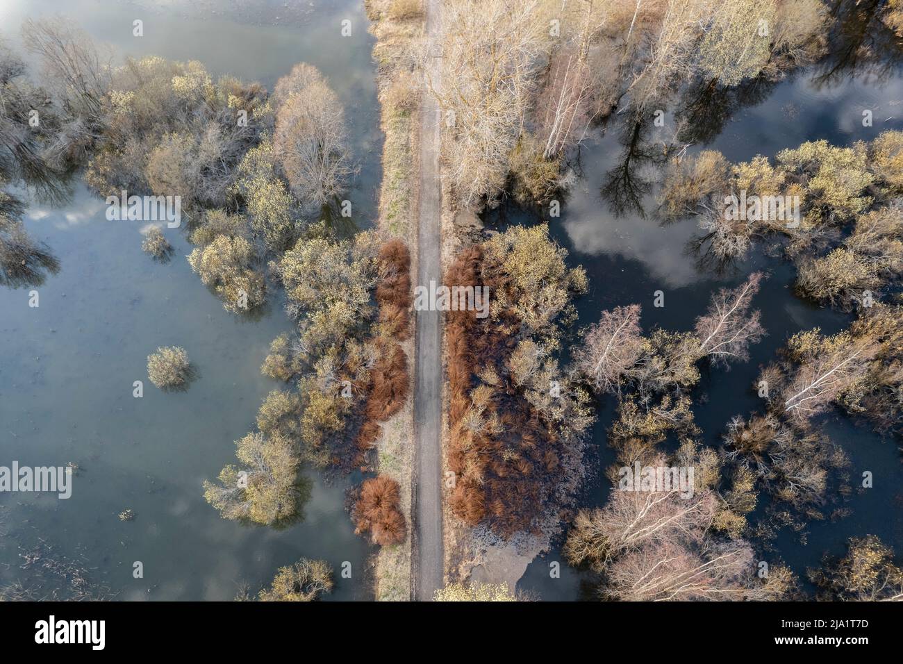 Überfluteter Wald von oben in Finnland Stockfoto