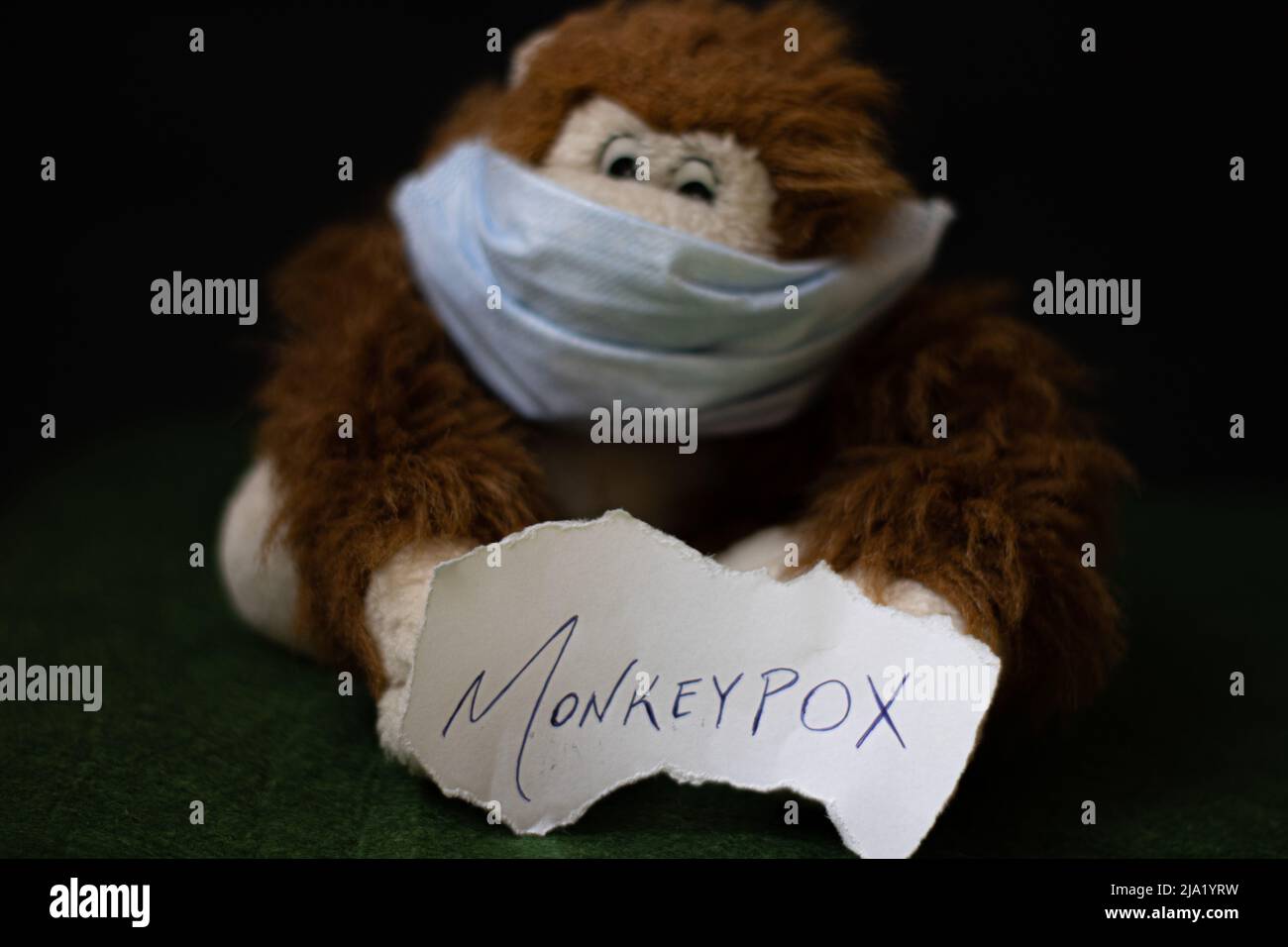 Masked Monkey Spielzeug halten Tag mit monkeypox Stockfoto