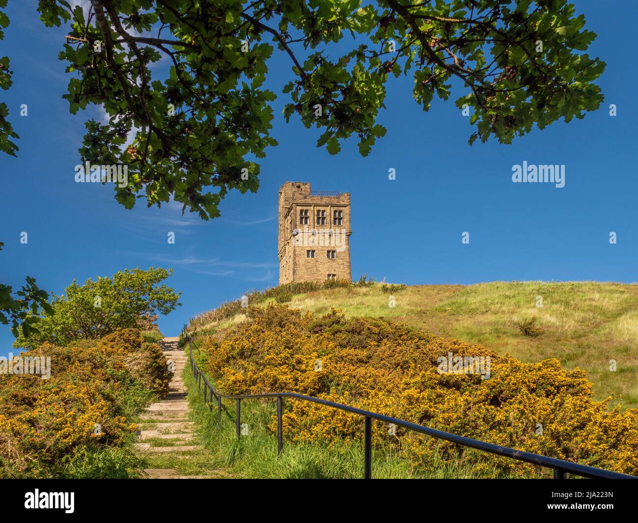 Stufen, die zum Victoria Tower, Castle Hill, führen, umrahmt von dem Baldachin einer Eiche. Huddersfield. West Yorkshire. Stockfoto